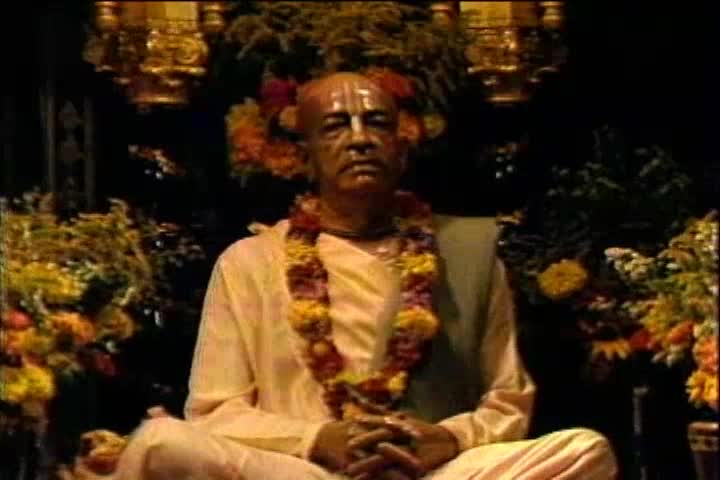 Prabhupada Palace TV News