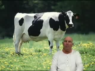 Bhagavad-gita - Does God Want Man to Eat Meat