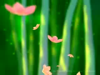 krishna Animation
