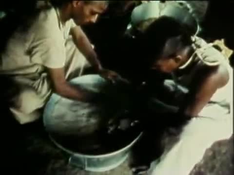 ISKCON Mayapur Food For Life
