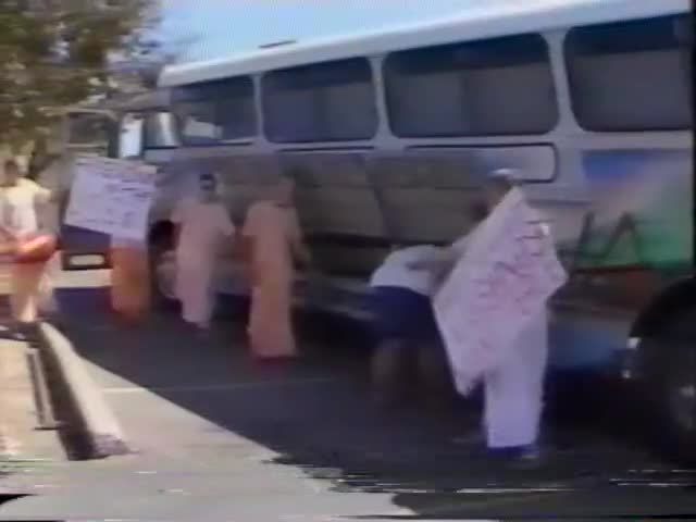 Hare Krishna's Release 100 Pidgins in a Car Park