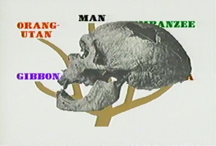 The Hidden History of the Human Race