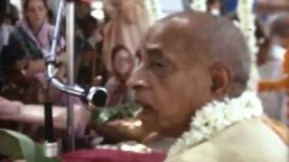 Prabhupada Darshan 5 -- 1972 -- India, Melbourne,London,New Vrindavan,Mexico City,Los Angeles