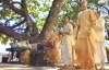 Traveling Temple in Darwin News Coverage
