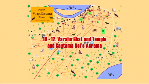 Vrindavan -- The Krishna-Balaram Tree