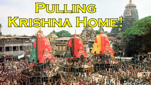 Pulling Krishna Home (Jagannatha Ratha Yatra Cart Festival)