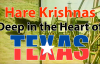 Deep in the Heart of Texas -- Hare Krishnas in Dallas 1982 -- ISKCON Television - 1080p HD