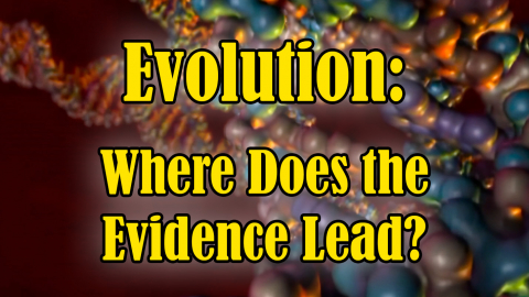 Evolution --  Where Does the Evidence Lead?