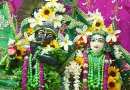 Australian Hare Krishnas on Television