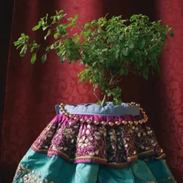 Guna Manjari Devi Dasi