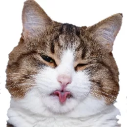 :3