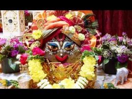 Giri Govardhana Bathes in the Yamuna