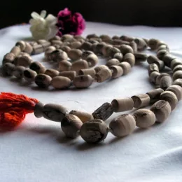 Bhakti Shravana 108
