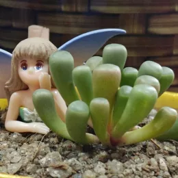 Micro Dimensions