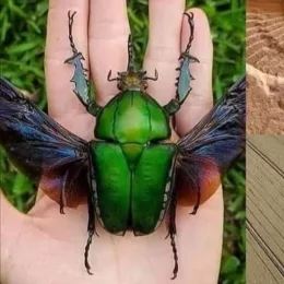 This Shit is real!