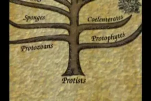 Origin of Life 4 -- How Did Life Begin