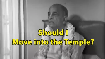 Should I leave my Job and join the Temple to become Krishna Conscious? -- Prabhupada Conversation