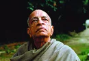 Prabhupada -- The Acharya Series