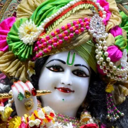 Krishna is the supreme lord 
