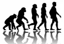 The Theory of Evolution