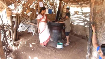 Ox driven Oil Mill