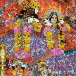 Aspiring for pure devotion
