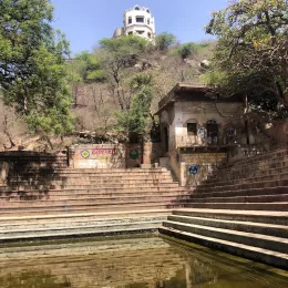 Jiva jago