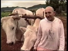 Wild Life -- Training Bulls with Lagudi Das - Television Documentary on Cow Protection in Australia