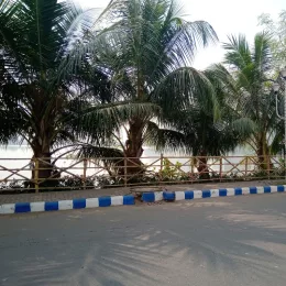 City of Joy