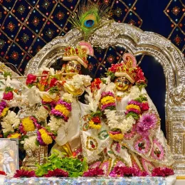 VISHAL BIRADAR