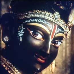 I sing for krishna