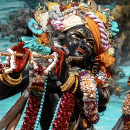 Dr Jyoti 