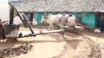 Traditional Oil Expeller
