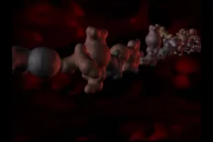 Origin of Life 5 -- The Language of Life