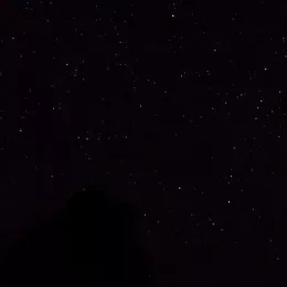 Echo