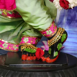 Apana Thapa