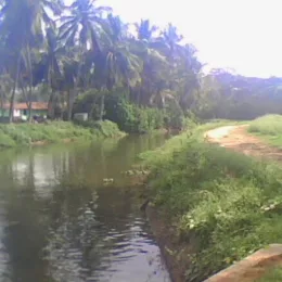 jyothilaxmi K
