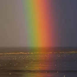 RAINBOW 🌈