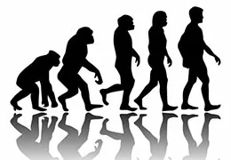 The Theory of Evolution