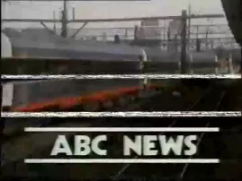 Opening of Kings Cross Temple Sydney 1983 ABC News
