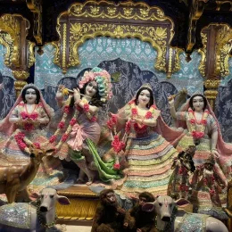 Vinay Raut