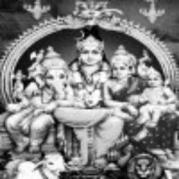 pavan T
