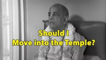 Should I leave my Job and join the Temple to become Krishna Conscious? -- Prabhupada Conversation