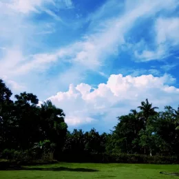 prodip mondal
