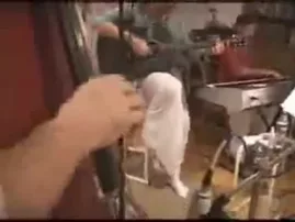 Jaye Radha