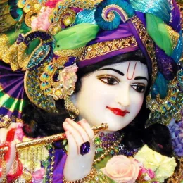 Krishna Tube