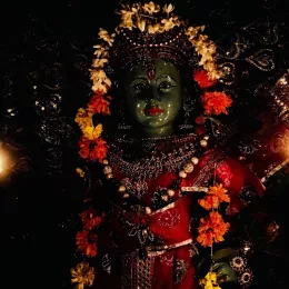 venu gopalan