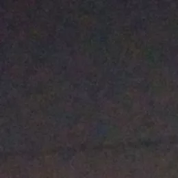 jay