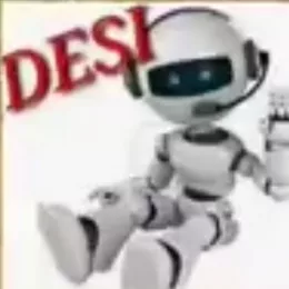 Desi Mr Robot 