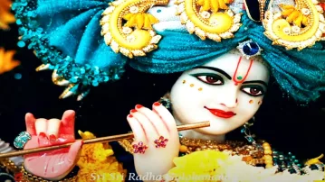 Darshan of ISKCON Radha-Krishna Deities